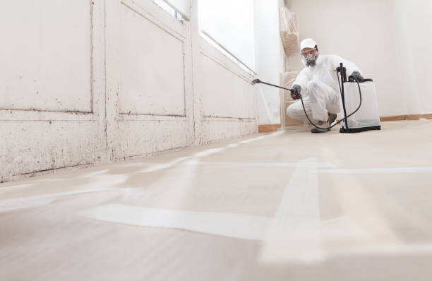 24/7 Emergency Mold Remediation experts in Wellesley Hills, MA